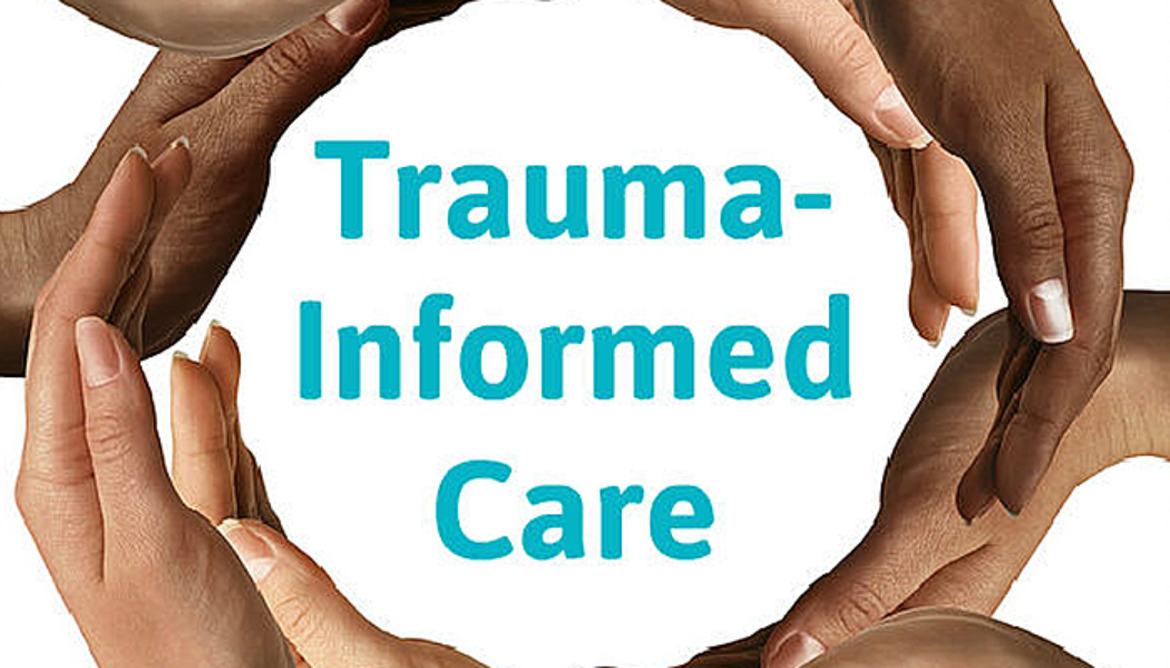 Building an Expanded, Effective and Integrated Trauma-Informed System of Care in NYS