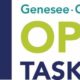 Genesee-Orleans-Wyoming Opioid Task Force wins Outstanding Rural Health Program Award