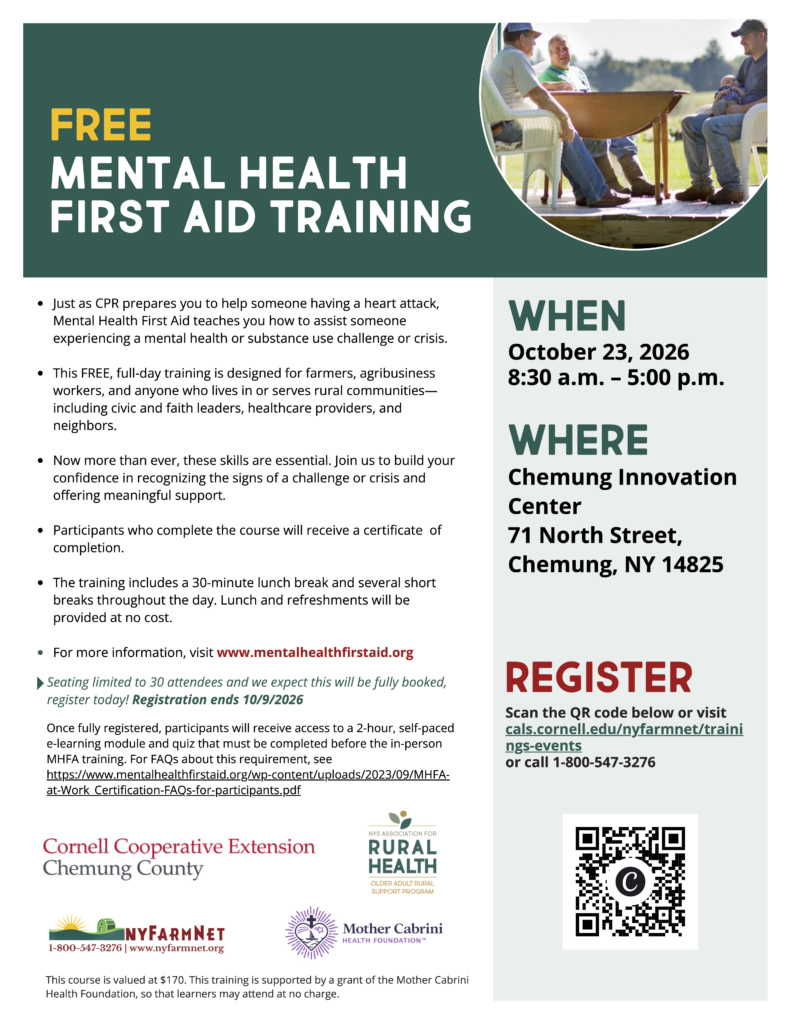 Flyer for Mental Health First Aid Training at the Chemung Innovation Center on 10/23/2026