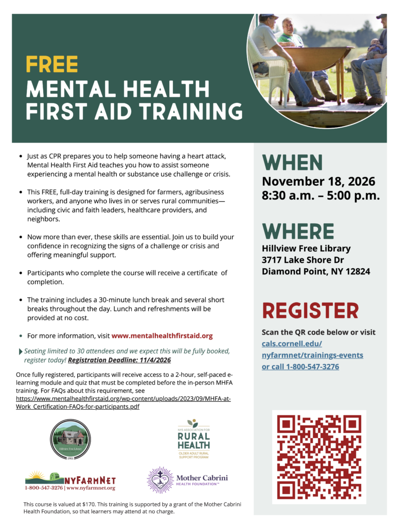 Mental Health First Aid training flyer at Hillview Free Library on 11/18/2026